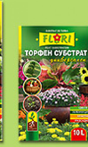 Florian Ltd. Photos