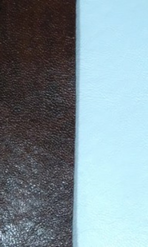MS Trading Ltd Photos