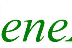 Geneks Logo