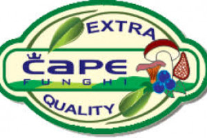 CHAPE FUNGI Logo