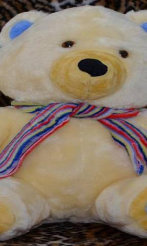Plush toys Photos