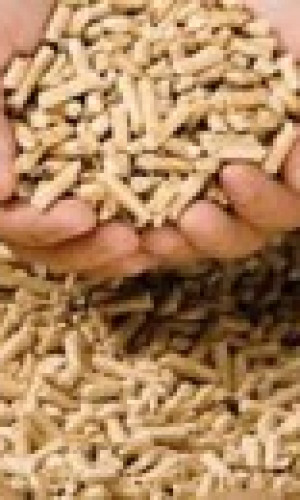 Pellets - ecological fuel Photos