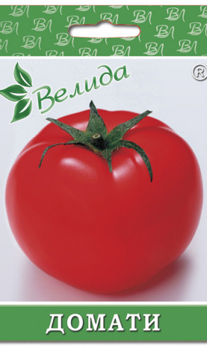 Seeds for flowers and vegetables Photos
